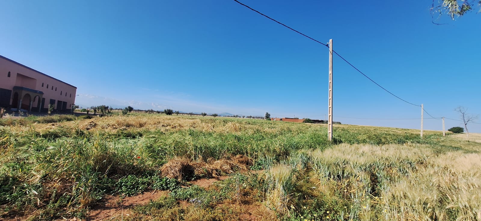 Domaine de 92,5 Ha : Route de Tahanaout